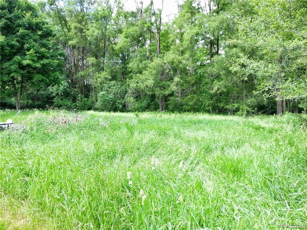 60221 Mt Vernon Road Rochester, MI 48306 - Photo 21 of 29 Backyard
