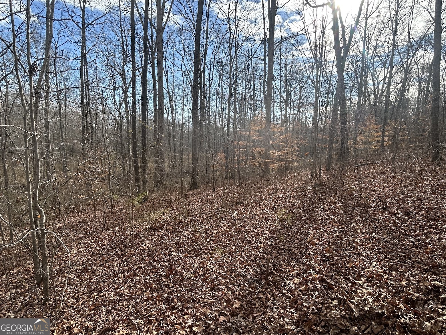 237 Riversong (tract 10) Carrollton, GA 30117 - Photo 36 of 72