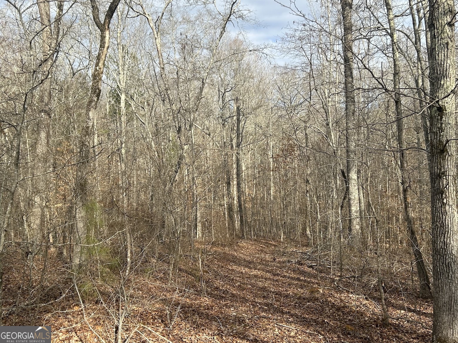 237 Riversong (tract 10) Carrollton, GA 30117 - Photo 38 of 72