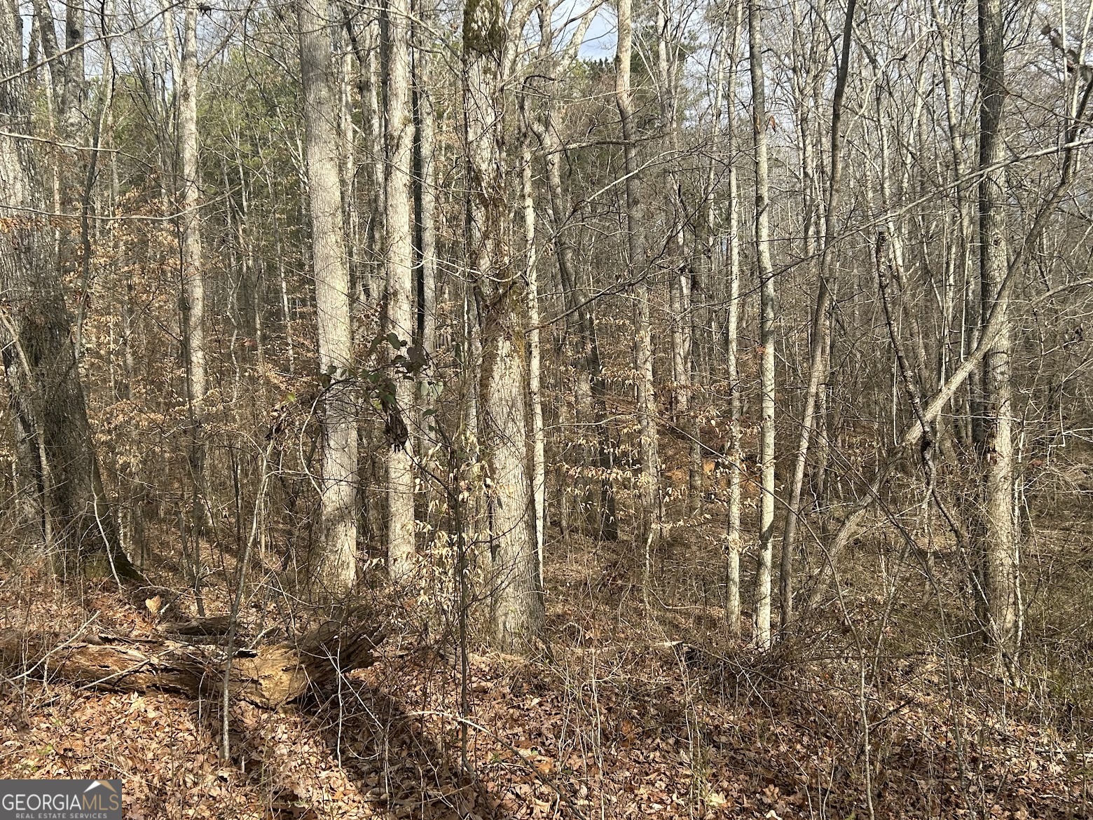 237 Riversong (tract 10) Carrollton, GA 30117 - Photo 39 of 72