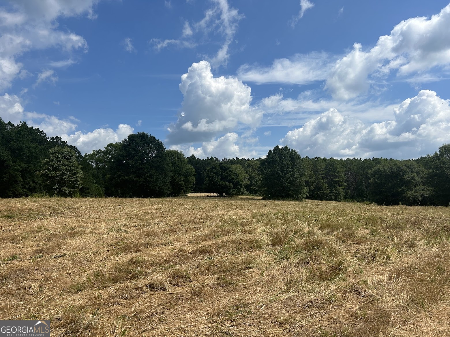 237 Riversong (tract 10) Carrollton, GA 30117 - Photo 42 of 72