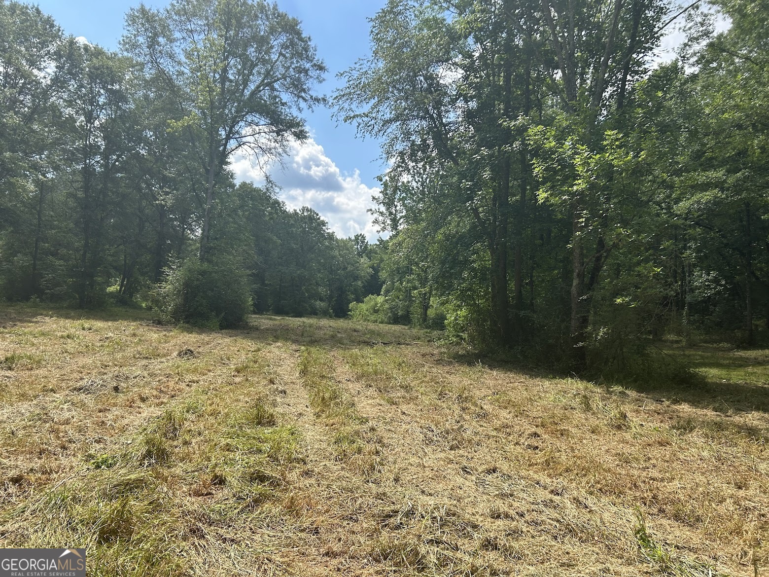 237 Riversong (tract 10) Carrollton, GA 30117 - Photo 45 of 72