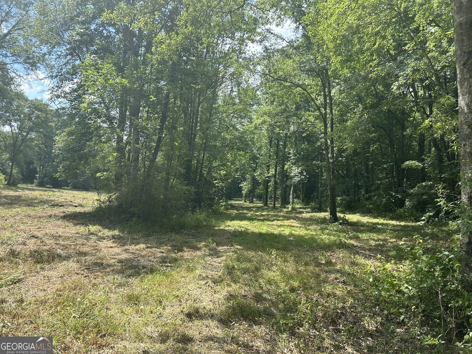 237 Riversong (tract 10) Carrollton, GA 30117 - Photo 46 of 72