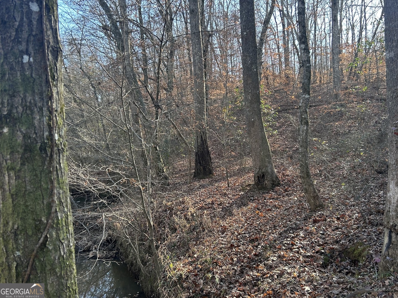 237 Riversong (tract 10) Carrollton, GA 30117 - Photo 53 of 72