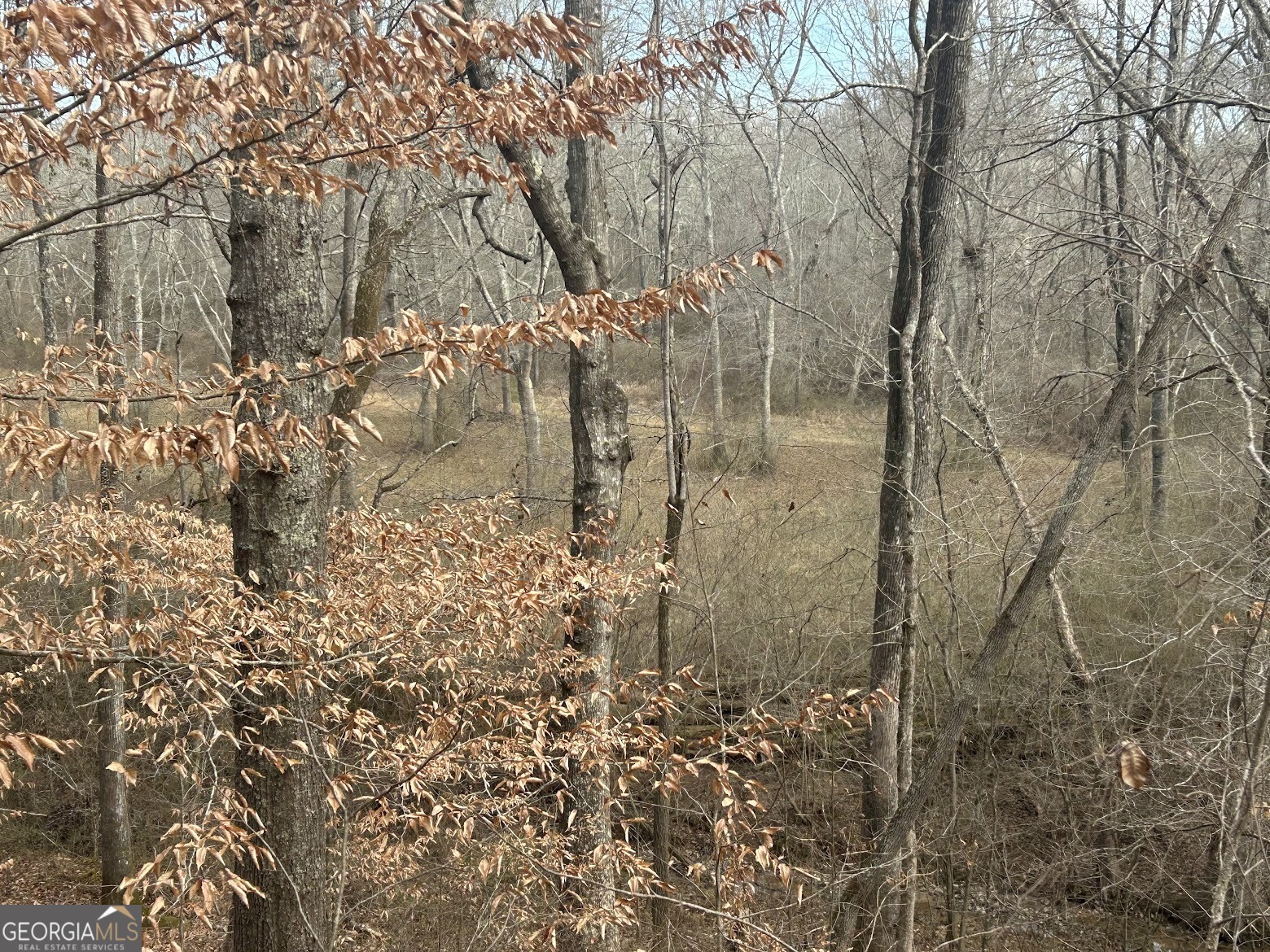 237 Riversong (tract 10) Carrollton, GA 30117 - Photo 57 of 72