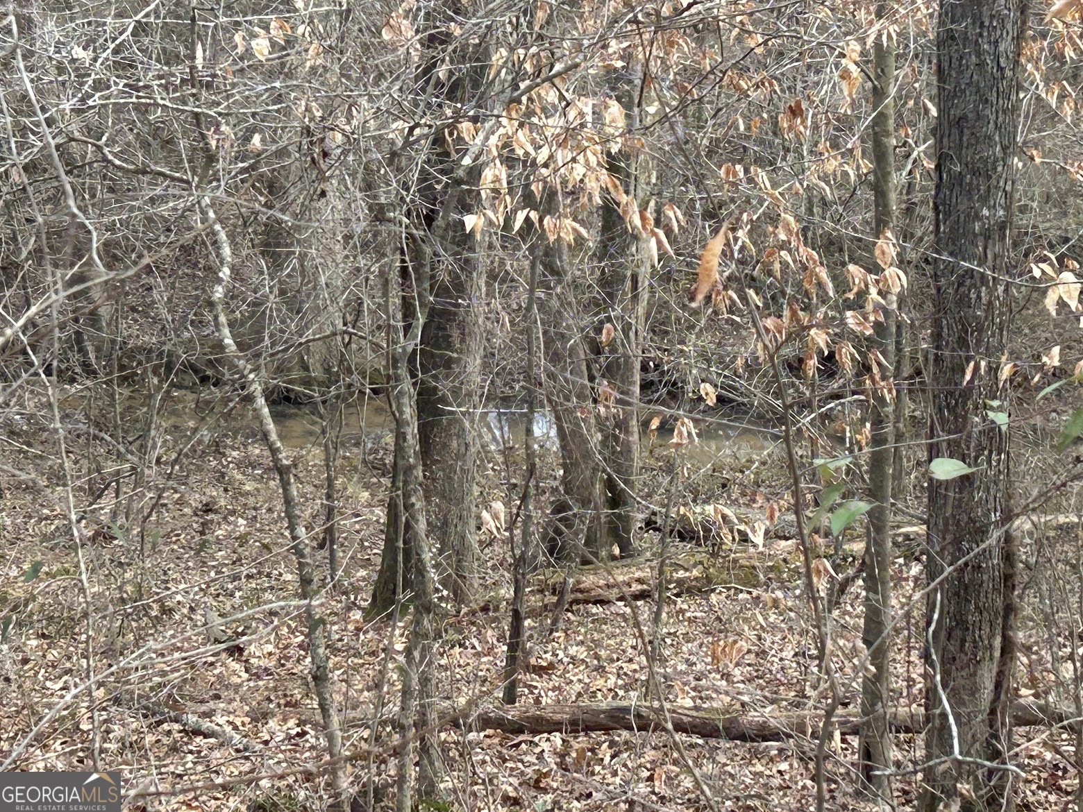 237 Riversong (tract 10) Carrollton, GA 30117 - Photo 65 of 72