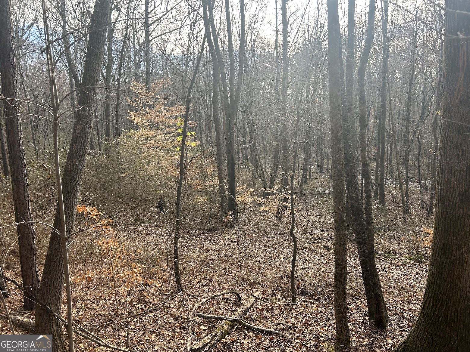 237 Riversong (tract 10) Carrollton, GA 30117 - Photo 67 of 72