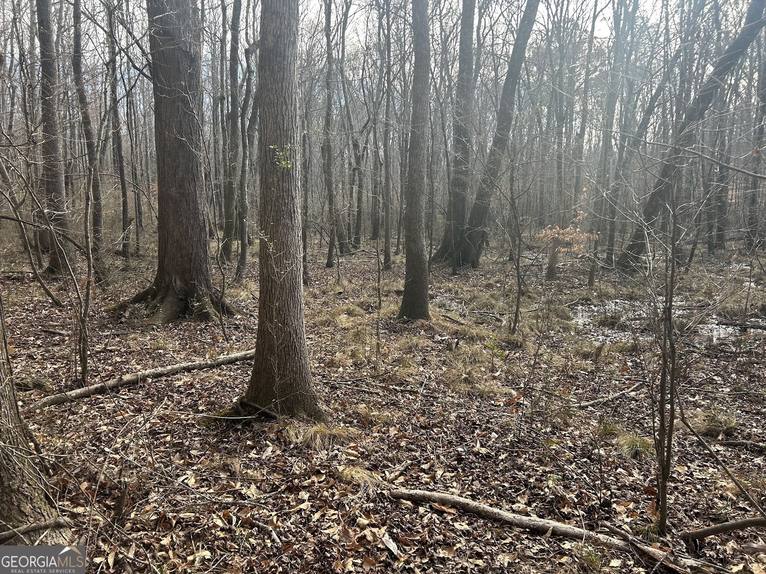 237 Riversong (tract 10) Carrollton, GA 30117 - Photo 68 of 72