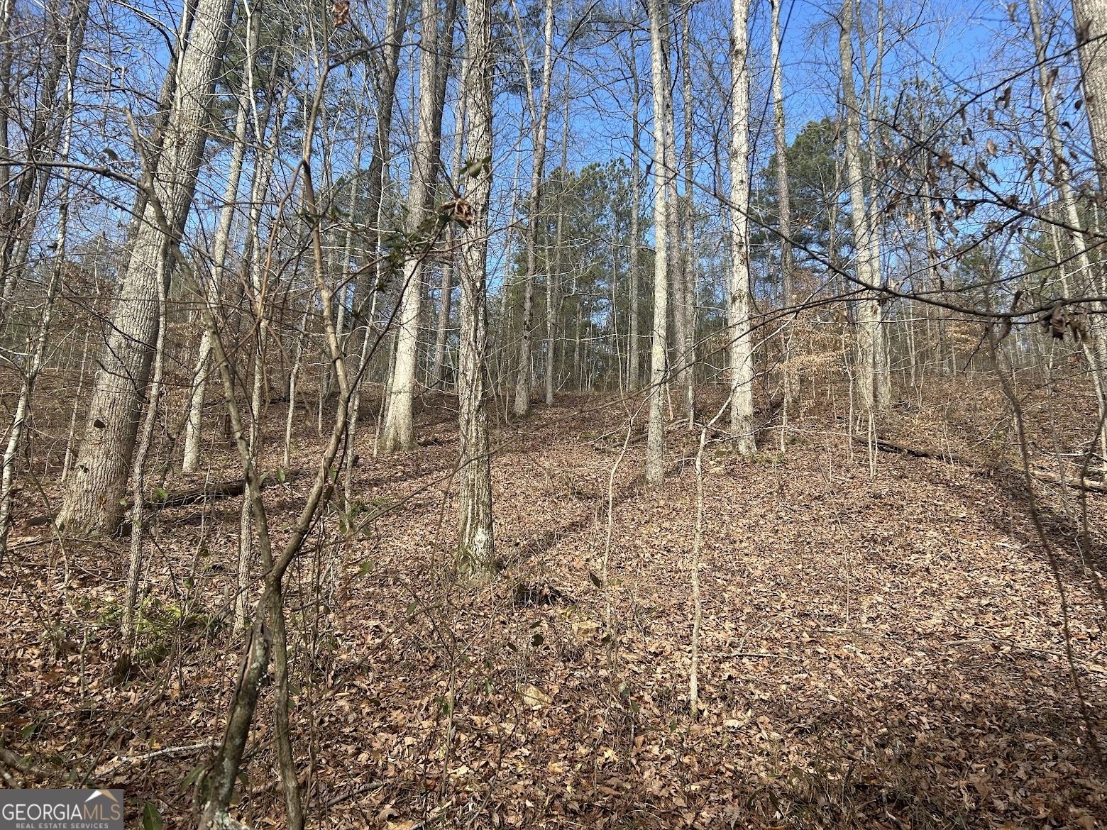 237 Riversong (tract 10) Carrollton, GA 30117 - Photo 70 of 72