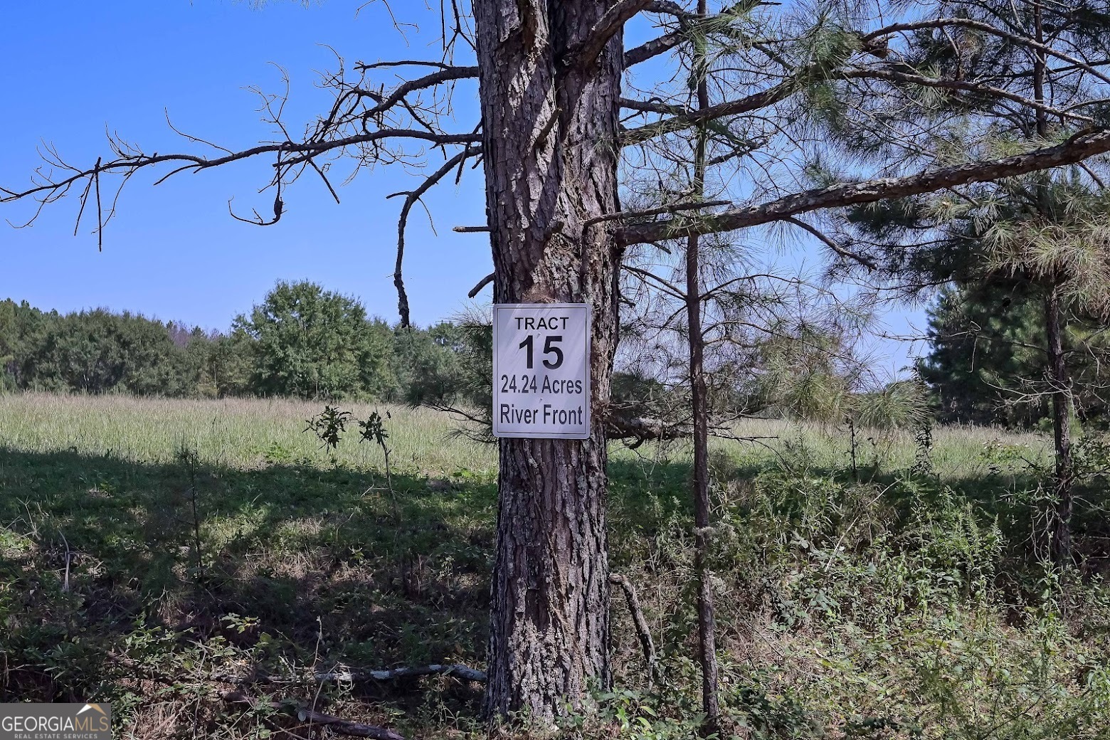 237 Riversong (tract 10) Carrollton, GA 30117 - Photo 10 of 72