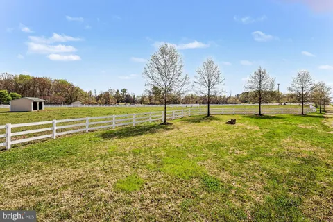 a house that has a tree in front of it