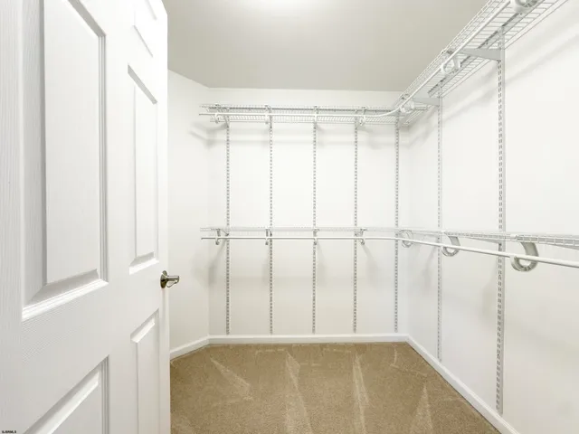 a view of a backyard with potted plants and large tree