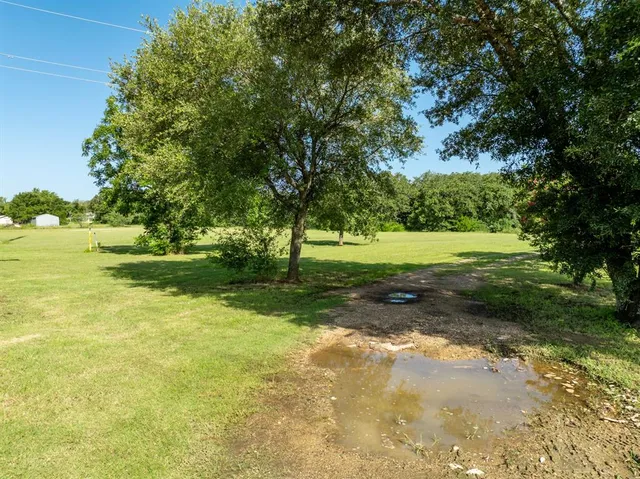a view of a trees with a yard