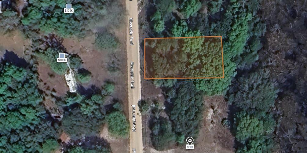 0 Riverside Trail Satsuma, FL 32189 - Photo 4 of 10 an outdoor view of garden