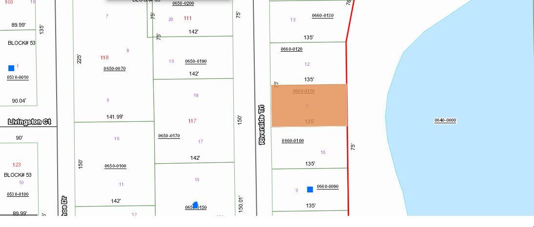 0 Riverside Trail Satsuma, FL 32189 - Photo 5 of 10 unknown