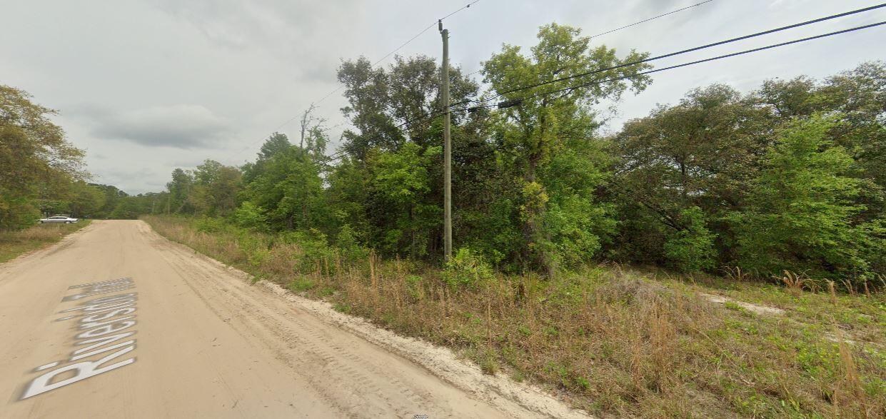 0 Riverside Trail Satsuma, FL 32189 - Photo 8 of 10 a view of a lake view
