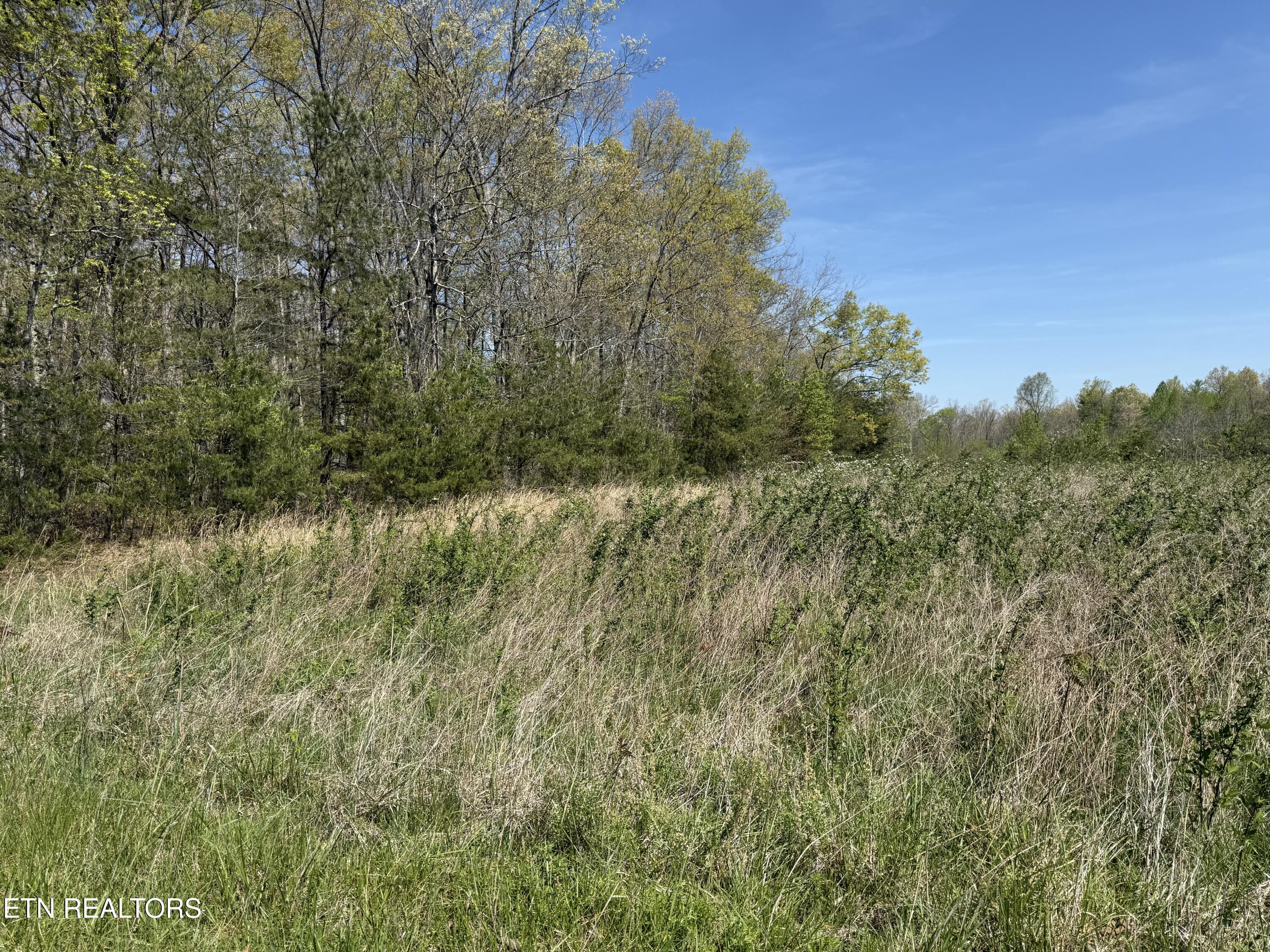 0 Conley Road Crossville, TN 38571 - Photo 19 of 24 CONLEY 12