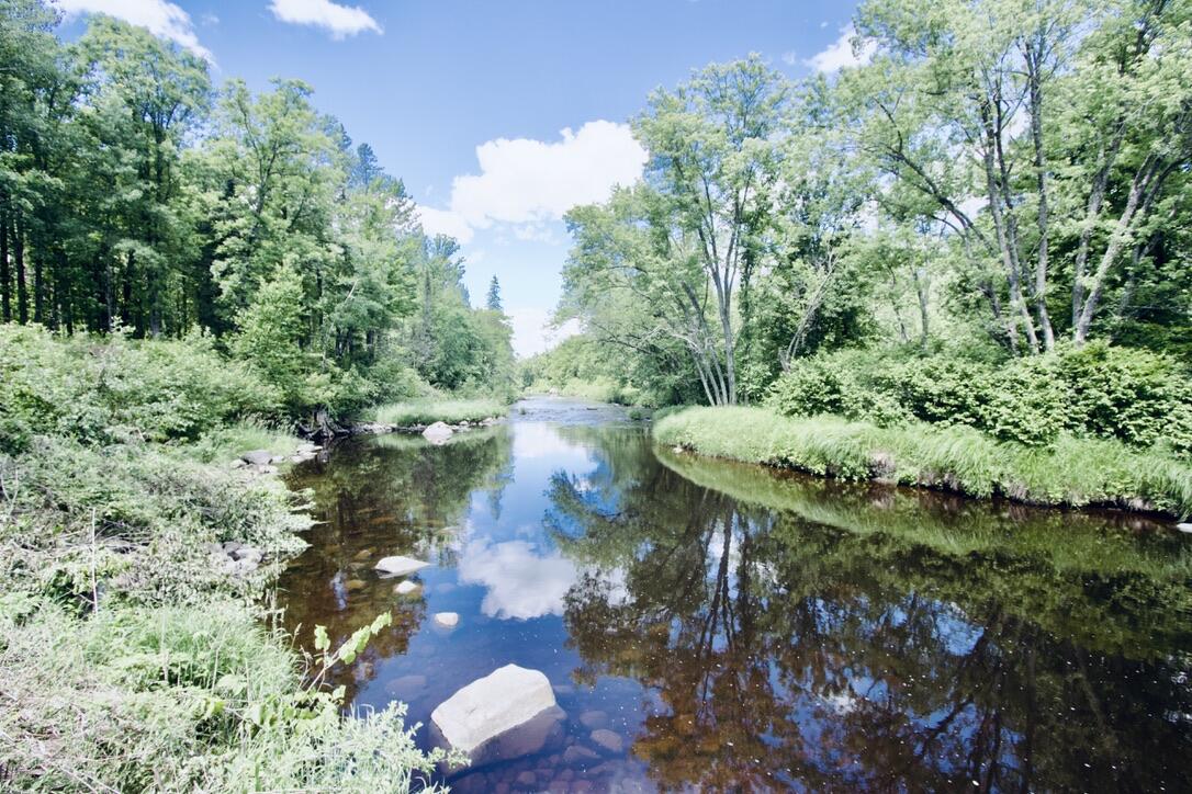 N1742 County Road North Kennan, WI 54537 - Photo 6 of 61 North Fork Jump River