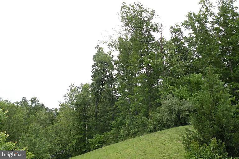 1 Puller Place Stafford, VA 22556 - Photo 17 of 17 a view of a forest with trees in the background