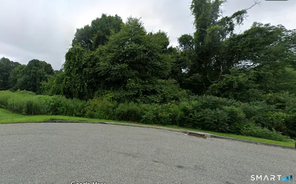 a view of a garden with plants