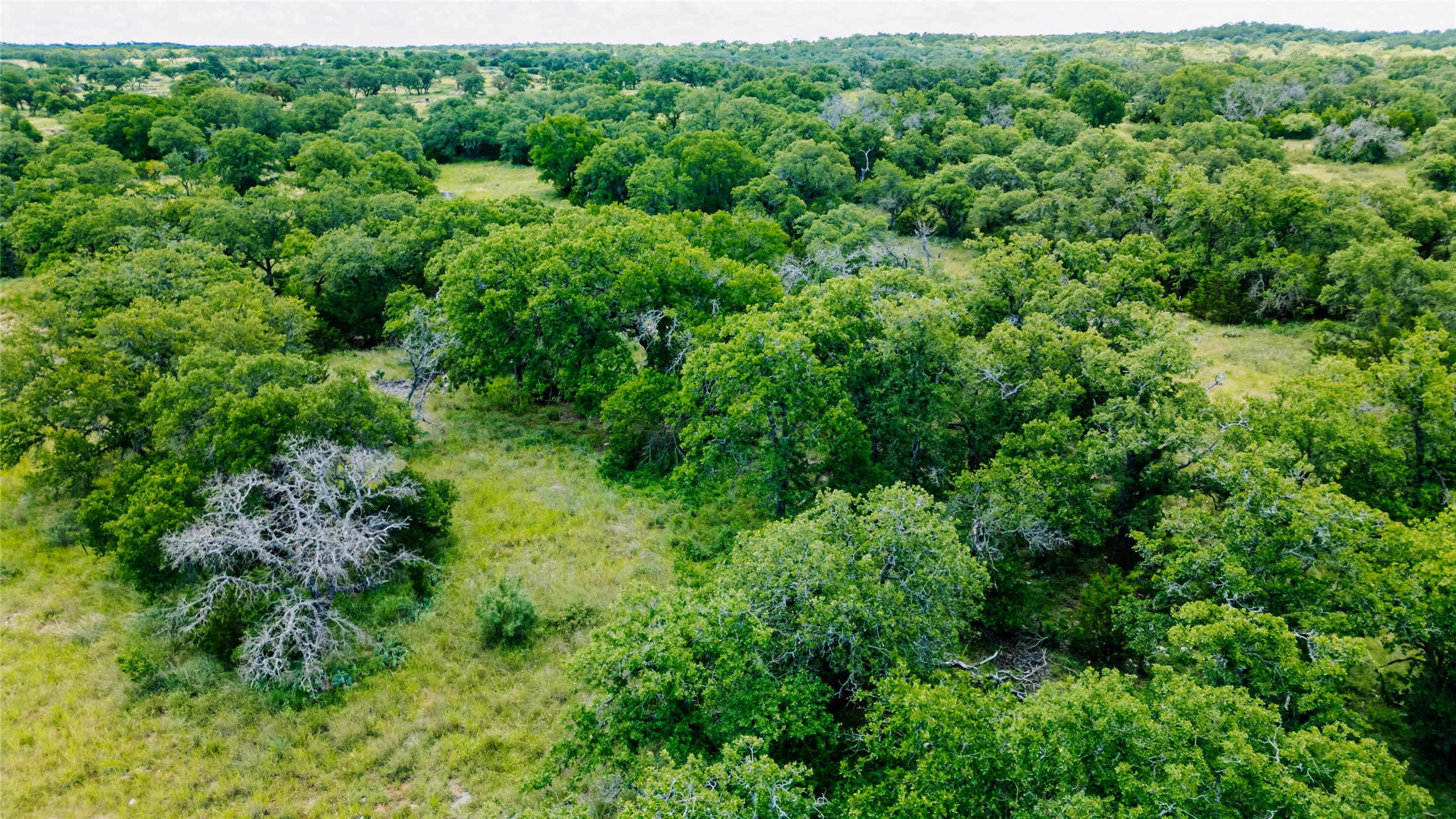 Parcel Id# 800675 Parcel Id Road San Saba, TX 76877 - Photo 11 of 16 a view of a lush green forest with houses and trees
