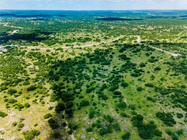 a view of a lush green field with lots of plants