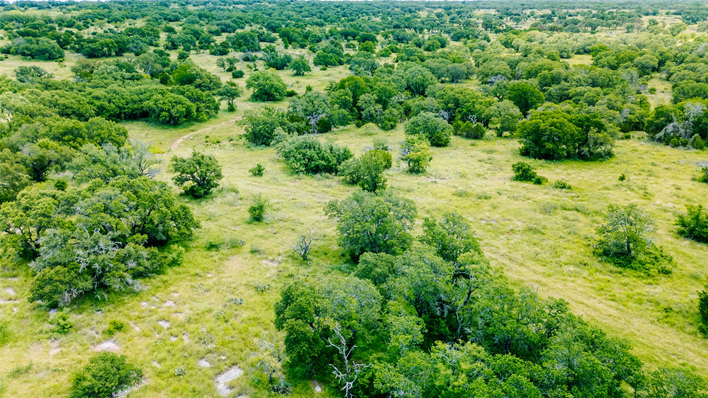 Parcel Id# 800675 Parcel Id Road San Saba, TX 76877 - Photo 10 of 16 a view of a lush green forest with lots of trees