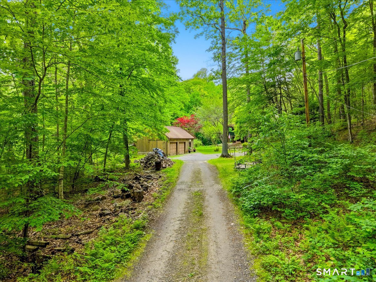 115 Green Hill Road Killingworth, CT 06419 - Photo 35 of 40 Private, wooded driveway leading to home