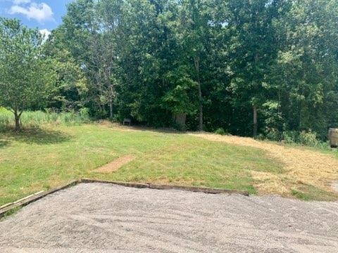 1007 Seed Tick Road Philadelphia, TN 37846 - Photo 16 of 16 a view of a yard with a tree