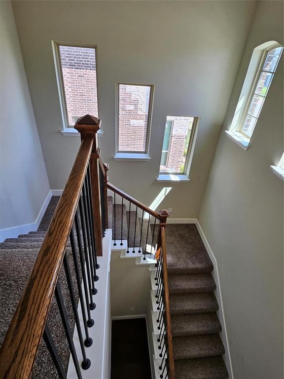 7378 Joshua Road Frisco, TX 75033 - Photo 16 of 25