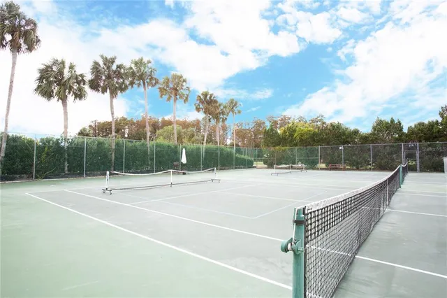 a view of a tennis court with basket ball court and palm trees