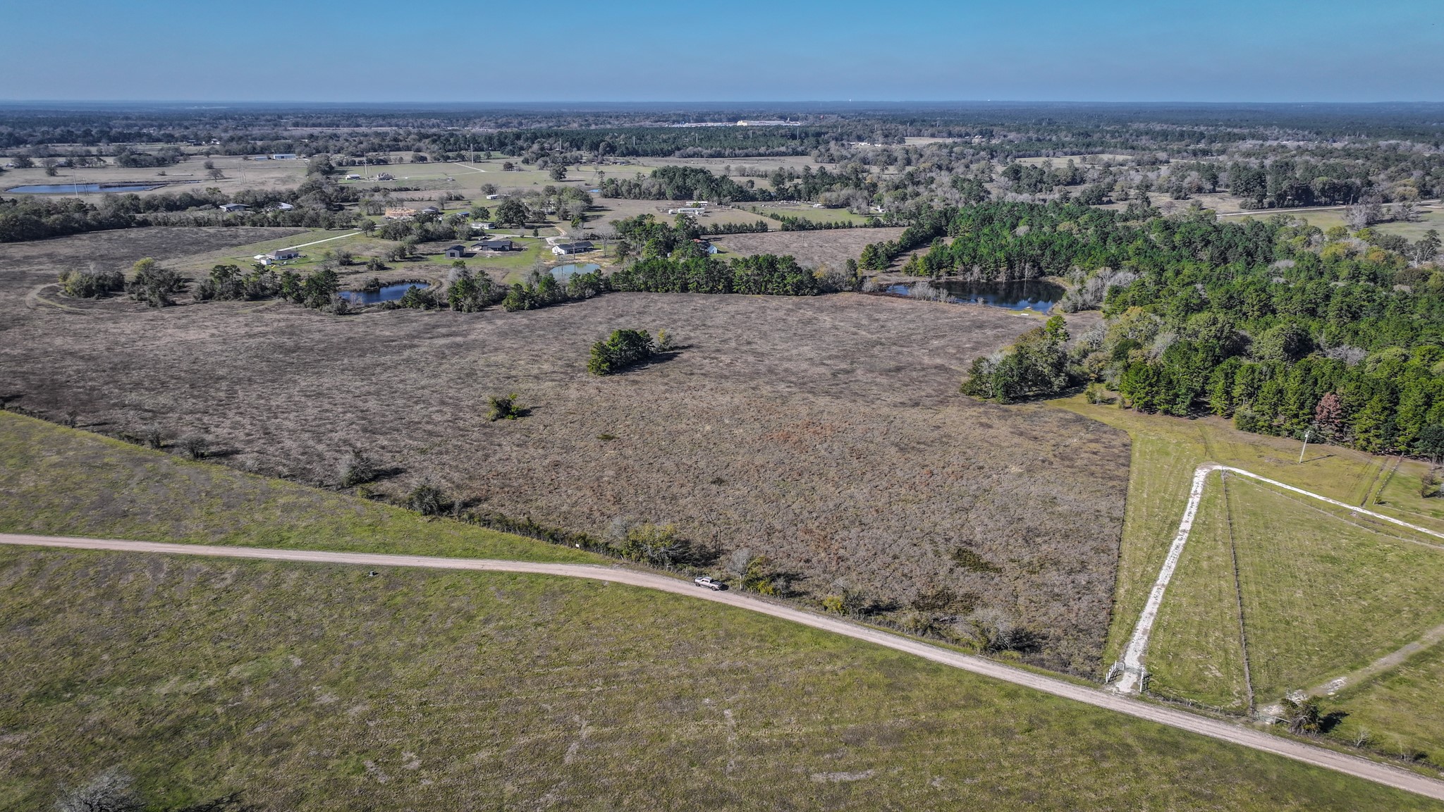 1 Podraza Road New Waverly, TX 77358 - Photo 11 of 28 a view of a dry yard