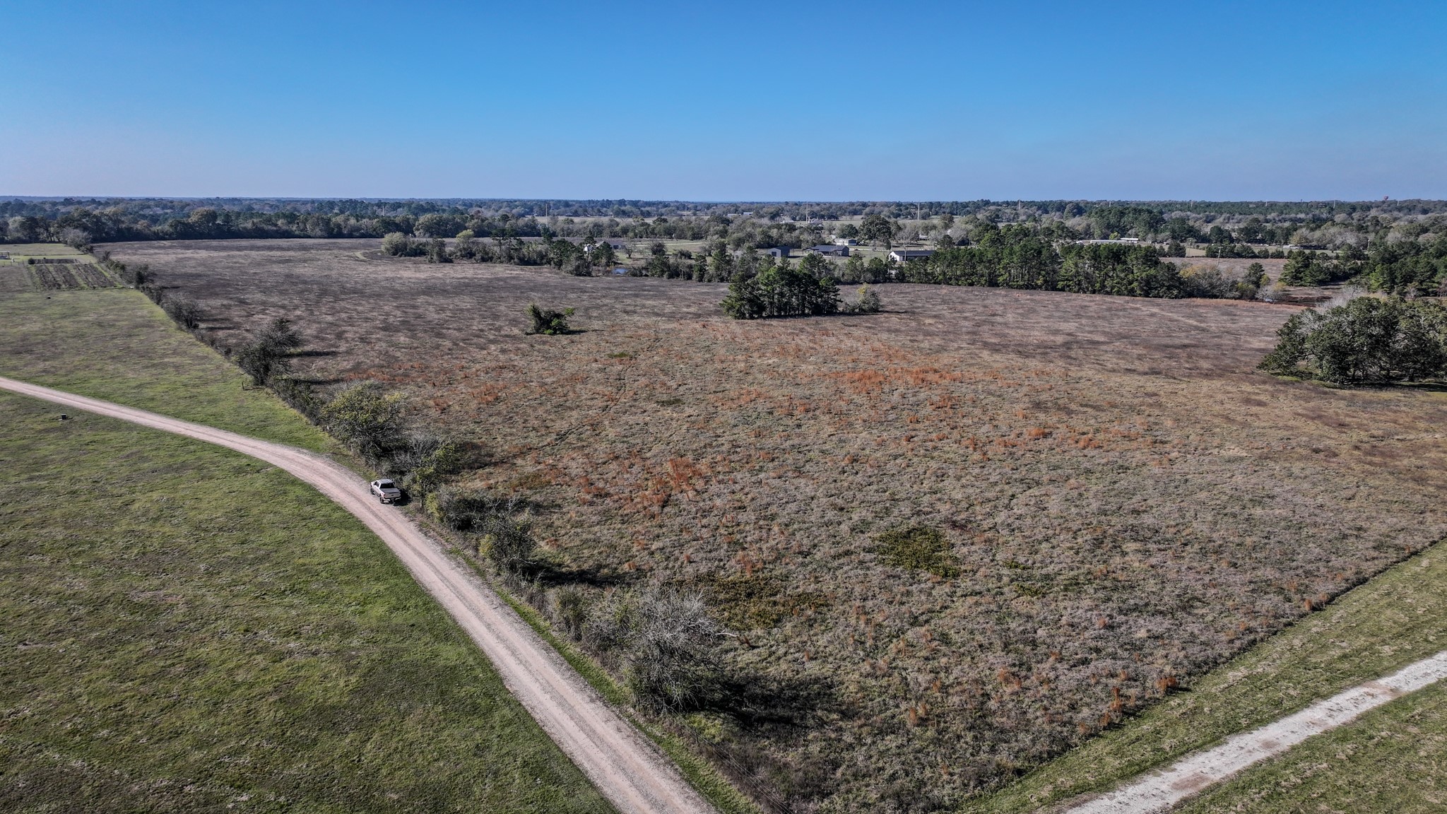 1 Podraza Road New Waverly, TX 77358 - Photo 19 of 28 a view of a dry yard with trees