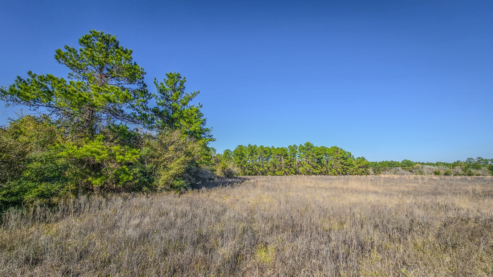 1 Podraza Road New Waverly, TX 77358 - Photo 20 of 28 a view of a lake with a yard