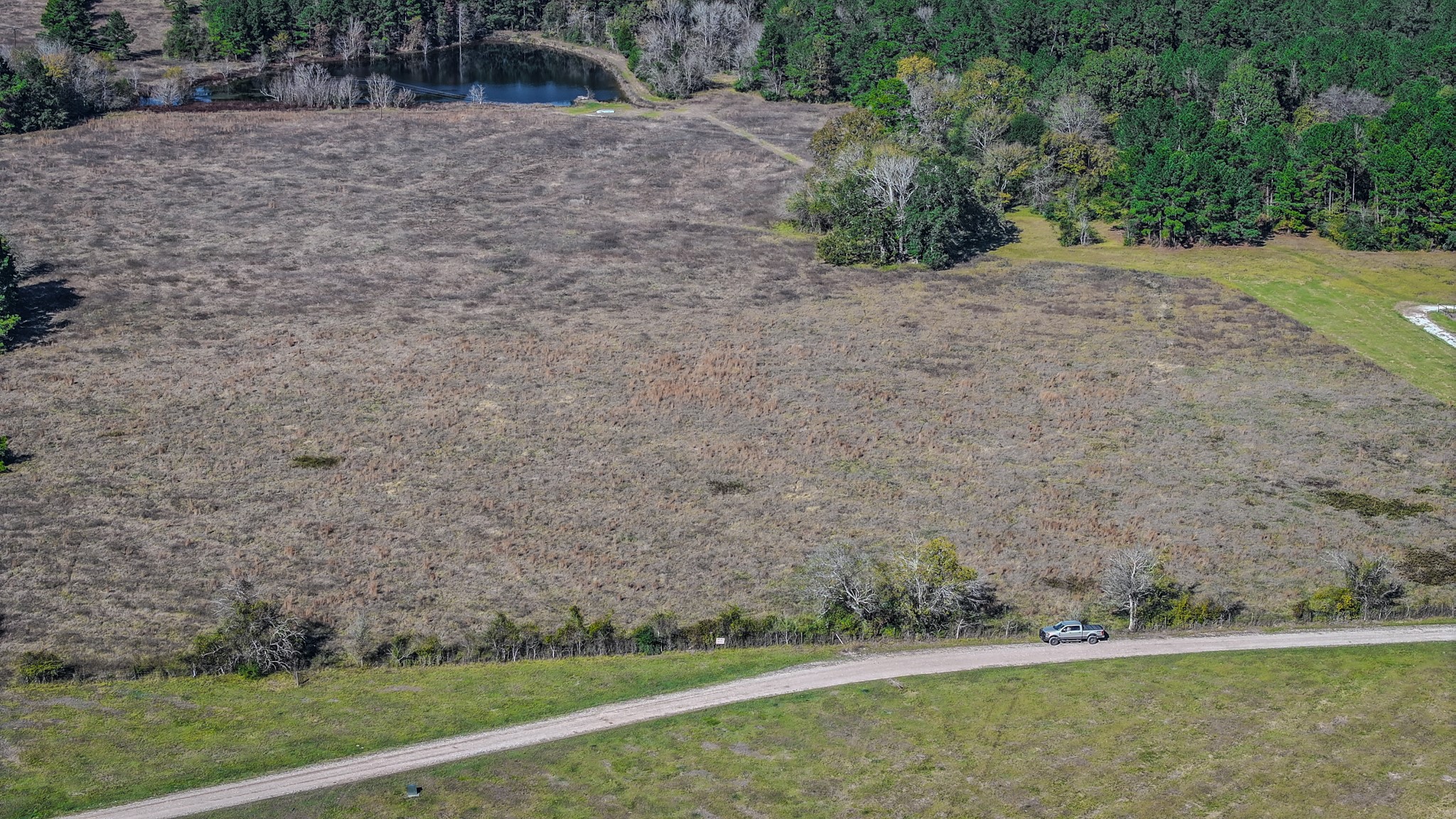 1 Podraza Road New Waverly, TX 77358 - Photo 22 of 28 a view of a field with trees