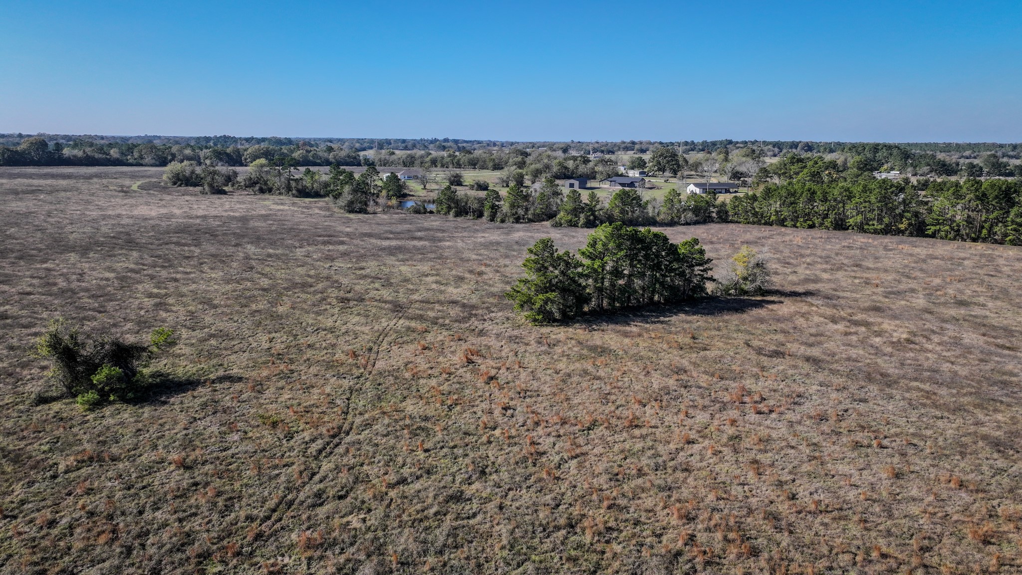 1 Podraza Road New Waverly, TX 77358 - Photo 24 of 28 a view of a dry yard with wooden fence