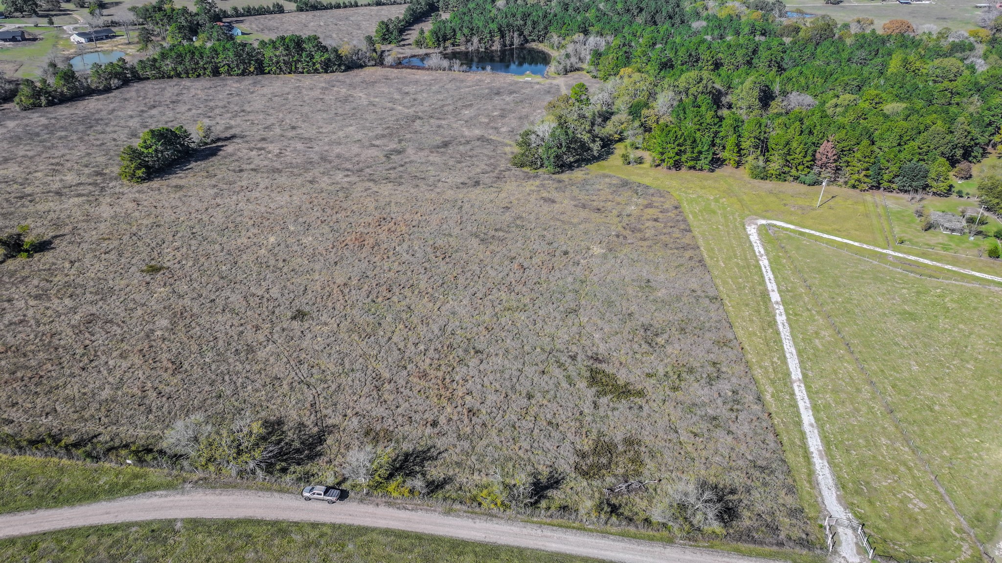 1 Podraza Road New Waverly, TX 77358 - Photo 3 of 28 a view of a yard with plants