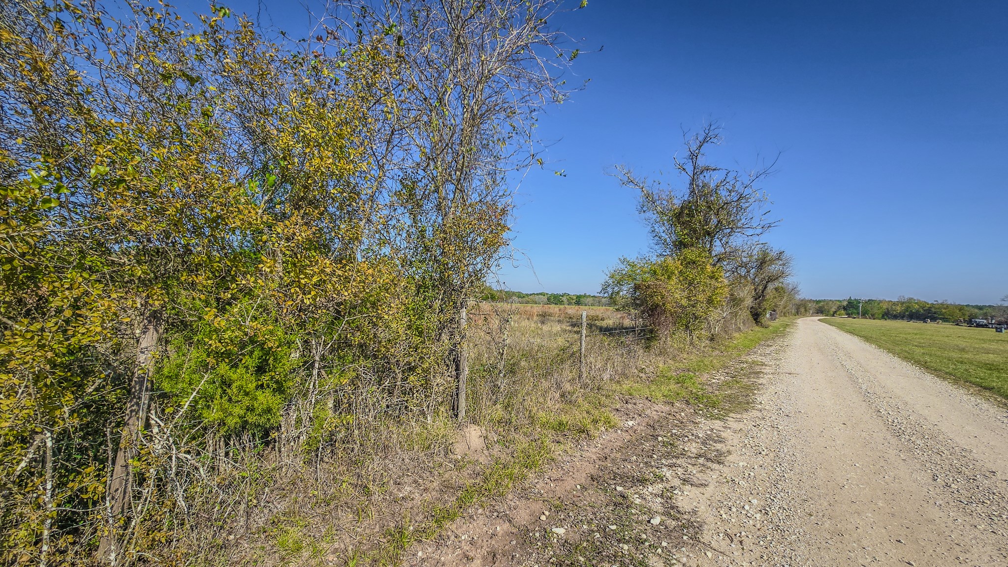 1 Podraza Road New Waverly, TX 77358 - Photo 4 of 28 a view of a pathway both side of yard