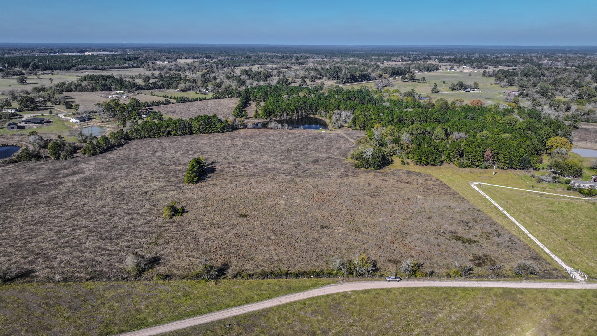 1 Podraza Road New Waverly, TX 77358 - Photo 5 of 28 a view of a dry yard