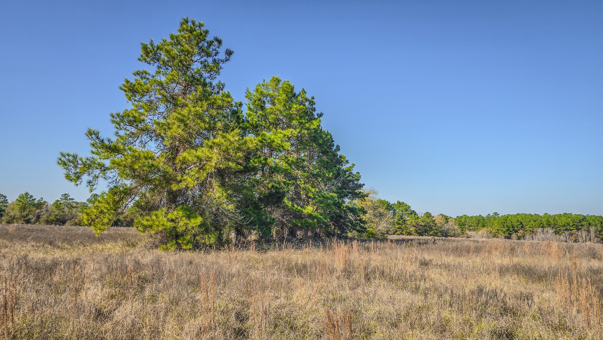1 Podraza Road New Waverly, TX 77358 - Photo 8 of 28 a view of a lake