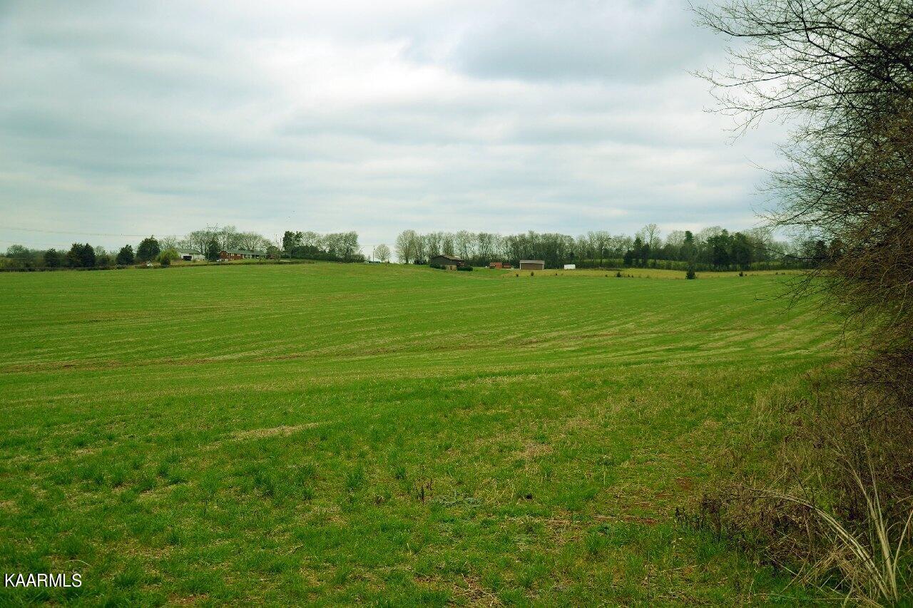 12940 Unitia Road Friendsville, TN 37737 - Photo 14 of 14 DSC_0018