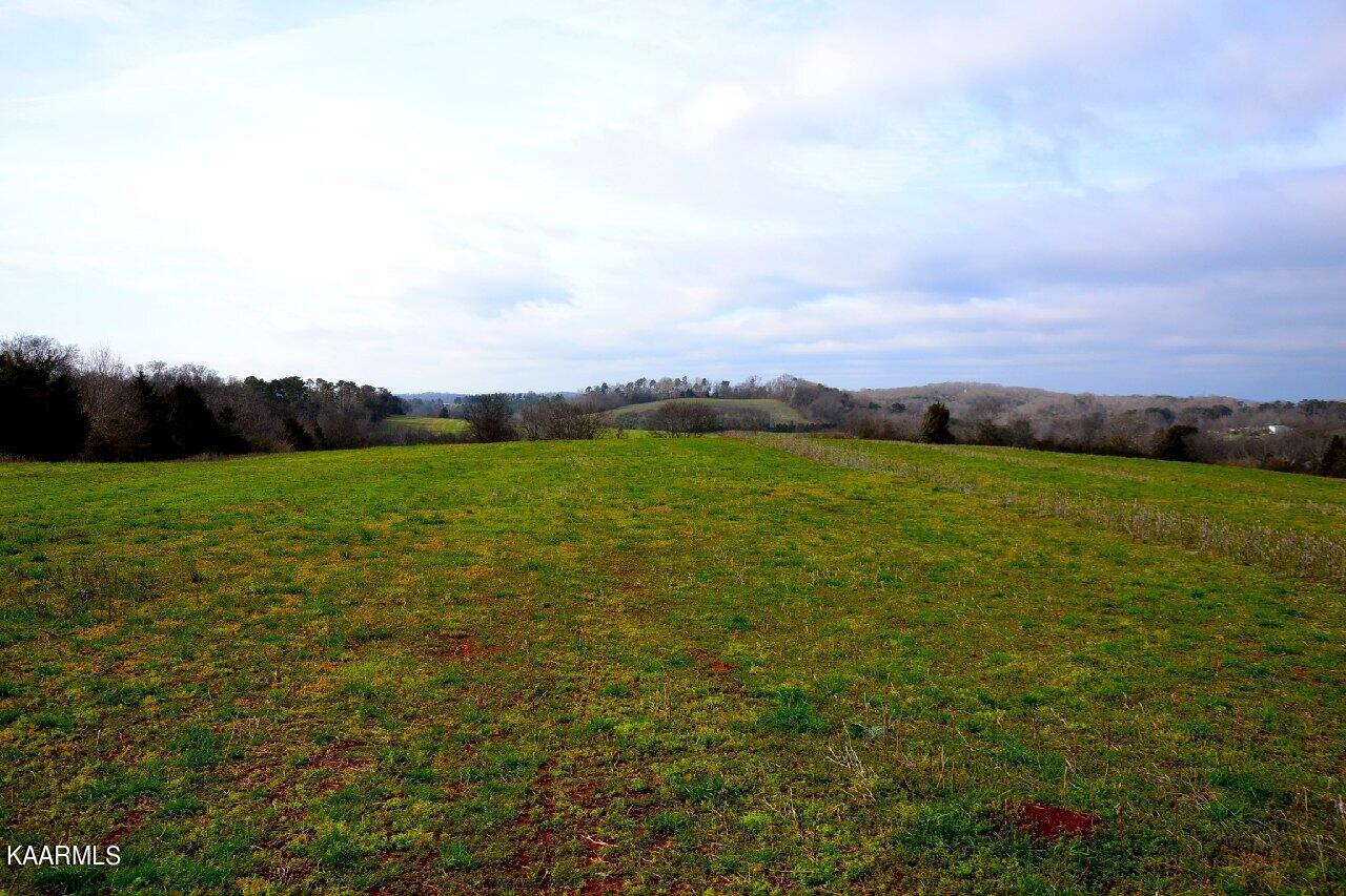 12940 Unitia Road Friendsville, TN 37737 - Photo 8 of 14 DSC_0011