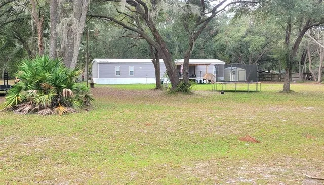 a view of a house with a yard and a large tree