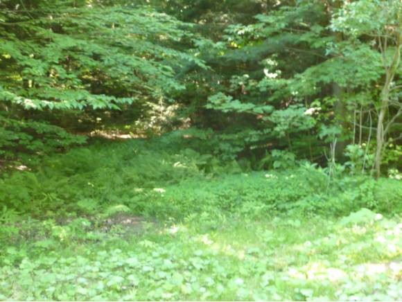 500 Boro Hill Road Monkton, VT 05443 - Photo 1 of 1 Gallery Image 1