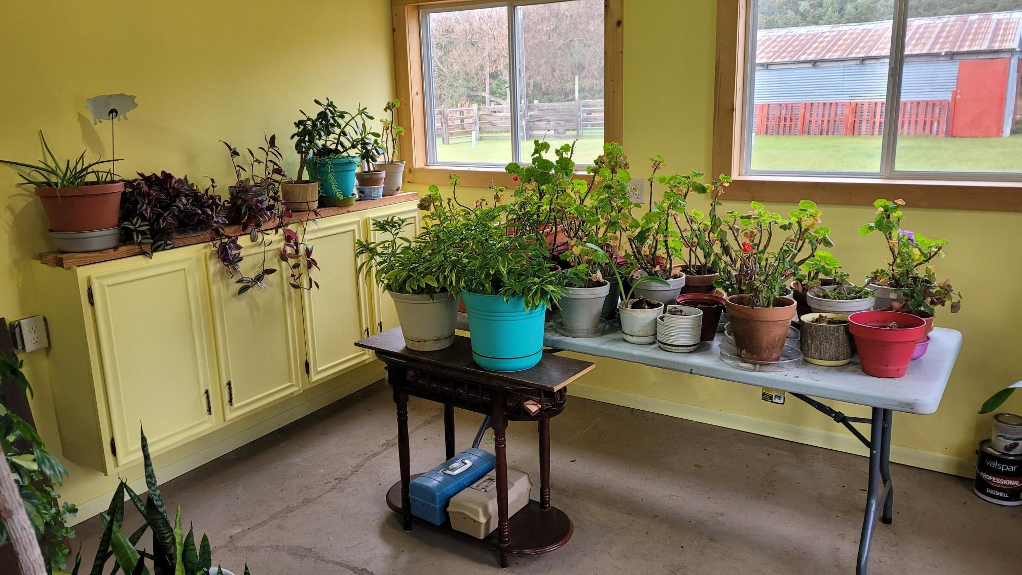 2907 24th Street Southwest Pine River, MN 56474 - Photo 9 of 18