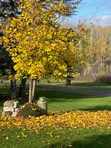 $2,300 | 75530 Co Hwy A, Iron River, WI 54847