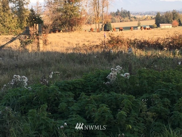0 View Ridge Drive Burlington, WA 98233 - Photo 1 of 1 Gallery Image 1