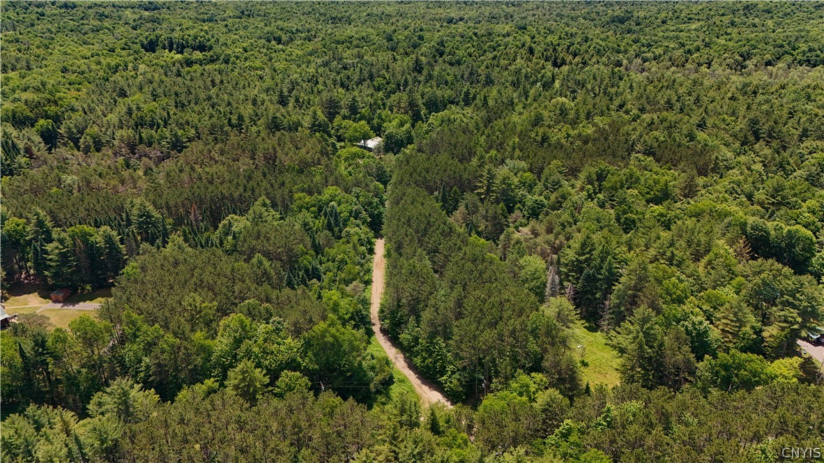 Bellingertown Road Forestport, NY 13338 - Photo 5 of 12