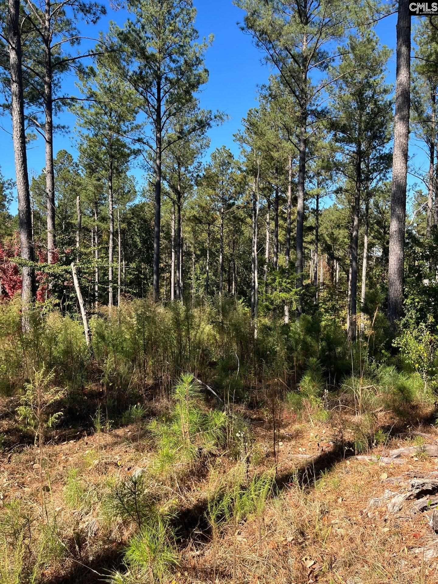 3 Dawkins Road, Unit DRF 3 Whitmire, SC 29178 - Photo 4 of 38
