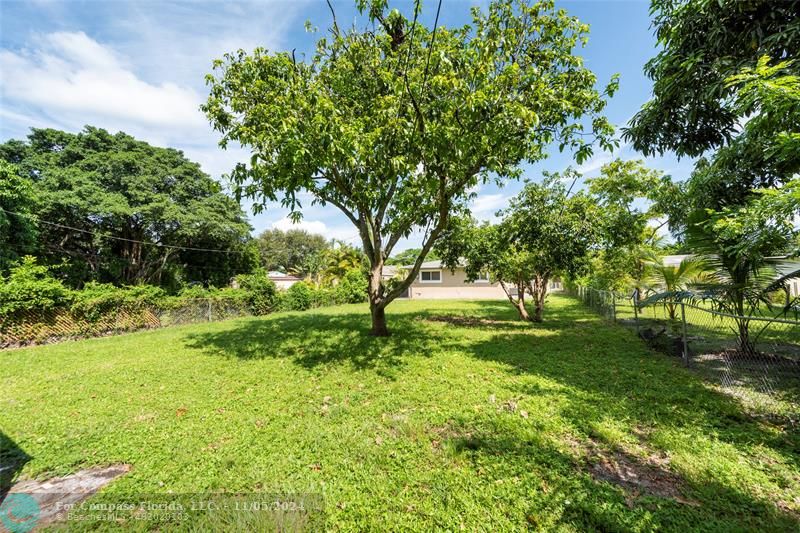 2726 Adams Street, Unit 3 Hollywood, FL 33020 - Photo 2 of 17 a view of backyard with large trees